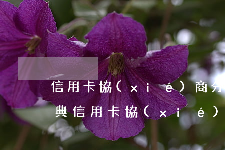信用卡協(xié)商分期利息怎么算(民法典信用卡協(xié)商還款)