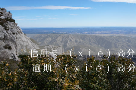 信用卡協(xié)商分期又逾期了怎么辦 逾期協(xié)商分期成功