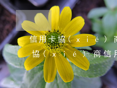 信用卡協(xié)商分期可信嗎-跟銀行協(xié)商信用卡最長分期多少年