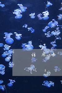 信用卡協(xié)商分期合理嗎(跟銀行協(xié)商信用卡最長分期多少年)