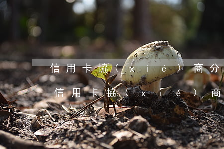 信用卡協(xié)商分期后又逾期一天-信用卡協(xié)商分期后又逾期一天怎么辦