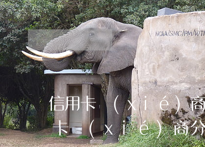 信用卡協(xié)商分期幾率(怎樣寫信用卡協(xié)商分期還款申請書)