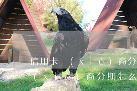 信用卡協(xié)商分期怎么做(信用卡協(xié)商分期怎么做)