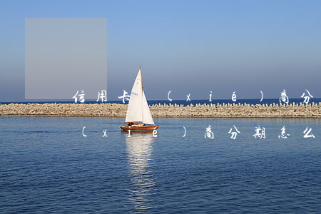 信用卡協(xié)商分期怎么算(信用卡協(xié)商分期怎么算的)