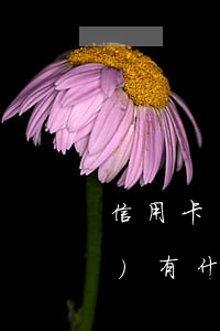信用卡協(xié)商分期成功會(huì)有什么證明-信用卡協(xié)商分期成功會(huì)有什么證明嗎