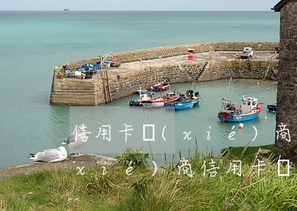 信用卡協(xié)商分期文案(跟銀行協(xié)商信用卡掛帳分期話術(shù))