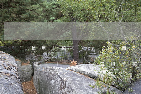 信用卡協(xié)商分期會(huì)凍結(jié)(信用卡協(xié)商分期會(huì)凍結(jié)賬戶(hù)嗎)