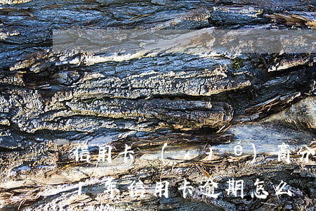 信用卡協(xié)商分期流程圖-2021年信用卡逾期怎么協(xié)商分期