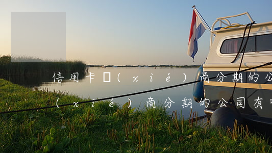 信用卡協(xié)商分期的公司(信用卡協(xié)商分期的公司有哪些)