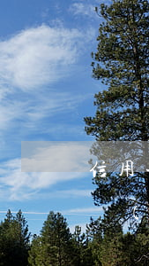 信用卡協(xié)商分期要付款嗎（信用卡協(xié)商分期要付款）