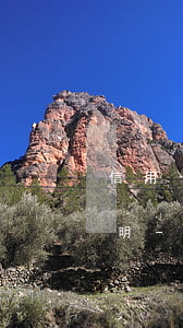 信用卡協(xié)商分期還款需要什么證明-信用卡協(xié)商分期還款需要什么證明材料