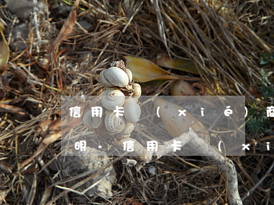 信用卡協(xié)商分期需要什么材料證明-信用卡協(xié)商分期需要什么材料證明呢