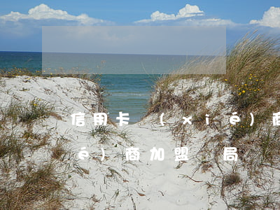 信用卡協(xié)商加盟 信用卡協(xié)商加盟騙局
