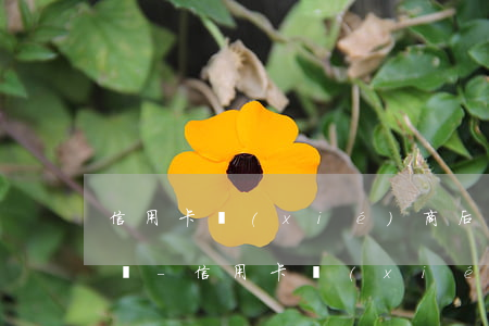 信用卡協(xié)商后再次逾期3天怎么辦-信用卡協(xié)商后再次逾期3天怎么辦呢