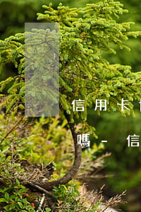 信用卡協(xié)商后可以商量延期還款嗎-信用卡協(xié)商后可以商量延期還款嗎