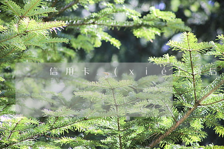 信用卡協(xié)商后果