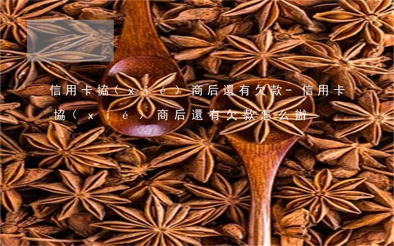 信用卡協(xié)商后還有欠款-信用卡協(xié)商后還有欠款怎么辦