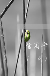 信用卡協(xié)商回訪-信用卡協(xié)商回訪電話