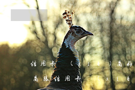 信用卡協(xié)商好不好協(xié)商 跟信用卡協(xié)商還款