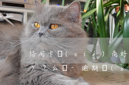 信用卡協(xié)商好又逾期會(huì)怎么樣-逾期協(xié)商有用嗎