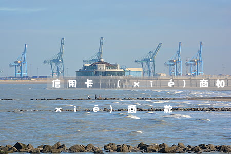 信用卡協(xié)商如何還款(行用卡協(xié)商還款)