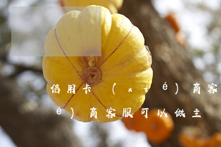 信用卡協(xié)商客服(信用卡協(xié)商客服可以做主嗎)