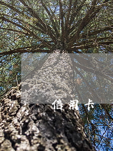 信用卡協(xié)商寫法