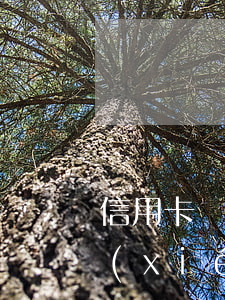 信用卡協(xié)商封卡 去信用卡中心協(xié)商被扣留