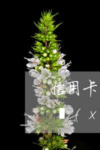 信用卡協(xié)商小技巧大全集 信用卡協(xié)商小技巧大全集