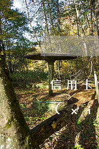 信用卡協(xié)商延期還款-信用卡協(xié)商延期還款能延期多久