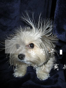 信用卡協(xié)商征信(信用卡協(xié)商征信報告只能傳一張怎么辦)