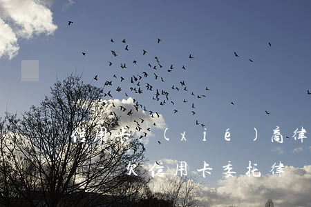 信用卡協(xié)商律師團(tuán)隊-欠信用卡委托律師協(xié)商