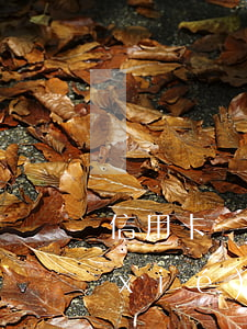 信用卡協(xié)商怎么找(欠信用卡協(xié)商找誰)