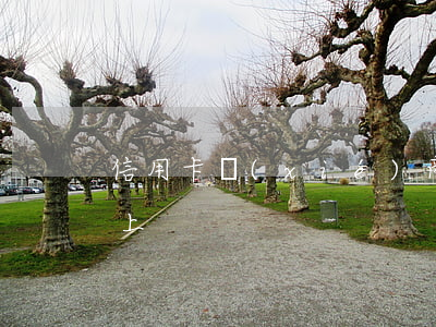 信用卡協(xié)商成功后還是逾期還不上