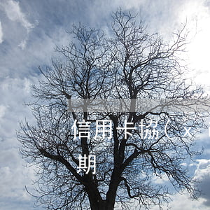 信用卡 協(xié)商 拘留 因拘留信用卡逾期