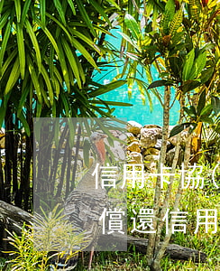 信用卡協(xié)商按能力還款-與能力償還信用卡,與銀行簽協(xié)議