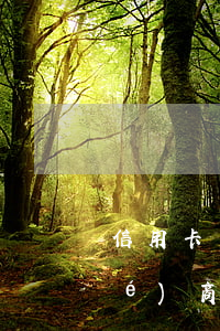 信用卡協(xié)商提款(信用卡協(xié)商提款)