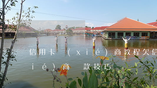 信用卡協(xié)商教程(欠信用卡協(xié)商還款技巧)