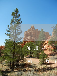 信用卡協(xié)商最強(qiáng)的銀行（信用卡協(xié)商最強(qiáng)的銀行）
