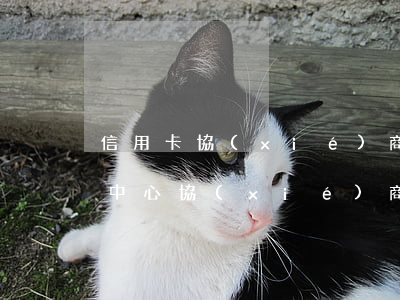信用卡協(xié)商最長能幾年 去信用卡中心協(xié)商