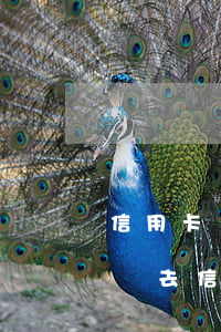 信用卡協(xié)商會(huì)加微信嗎(去信用卡中心協(xié)商會(huì)不會(huì)被扣)