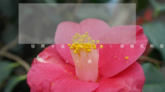 信用卡協(xié)商模式(和信用卡中心協(xié)商)