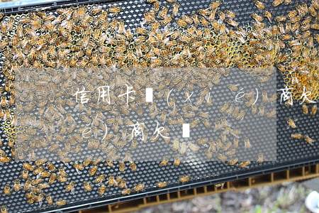 信用卡協(xié)商欠錢（信用卡協(xié)商欠錢）