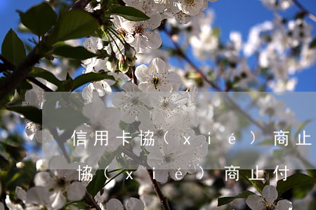 信用卡協(xié)商止付什么意思（信用卡協(xié)商止付）