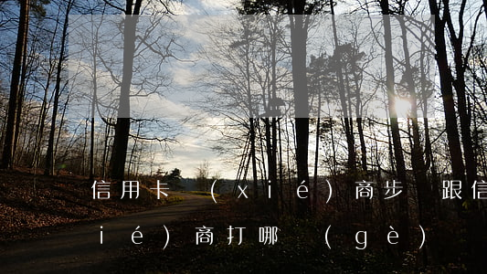 信用卡協(xié)商步驟(跟信用卡協(xié)商打哪個(gè)電話)