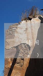 信用卡協(xié)商減免條件(已協(xié)商好的信用卡減免申請書模板)