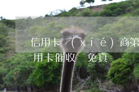 信用卡協(xié)商第三方公司 第三方信用卡催收減免真實嗎