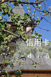 信用卡協(xié)商網(wǎng)點(diǎn)(信用卡協(xié)商網(wǎng)點(diǎn)有哪些)