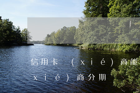 信用卡協(xié)商能分期嗎(信用卡 協(xié)商分期)