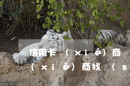 信用卡協(xié)商處理方案(欠信用卡協(xié)商找誰(shuí))
